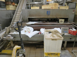 Vyškovská pekárna má utrum. Byla plná hmyzu, špíny a plísně