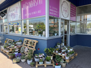 Teplé místo v korporátu vyměnila za vlastní květinářství. Nyní si nadšená floristka získává Brno