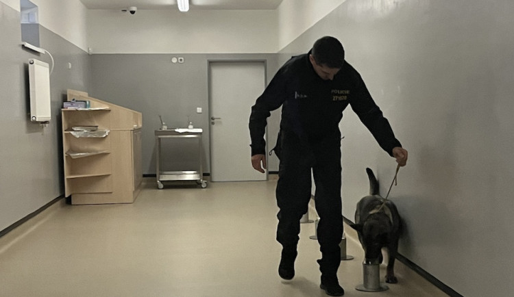 Policejním psům, kteří rozpoznávají pachy, postavili u Brna nové pracoviště