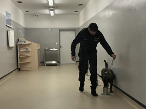 Policejním psům, kteří rozpoznávají pachy, postavili u Brna nové pracoviště
