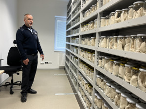 Policie služebním psům v Modřicích postavila nové pracoviště