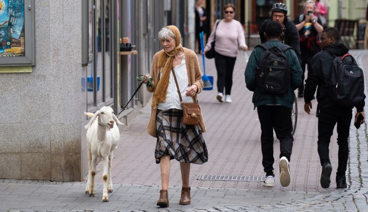 Seniorka zmateně bloudila Brnem. Na vodítku vedla kozu