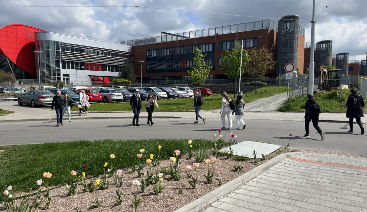 Lidé mířící do kampusu a zpět volí cestu přes silnici a záhony, jelikož nejbližší chodník je v opačném směru.