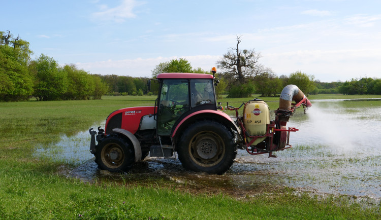 Na jihu Moravy se kvůli dešťům přemnožili komáři. Odborníci se obávají kalamity