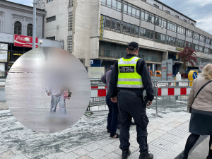 V Brně chystají trest pro cizince, který si trhal na brněnském nádraží květiny