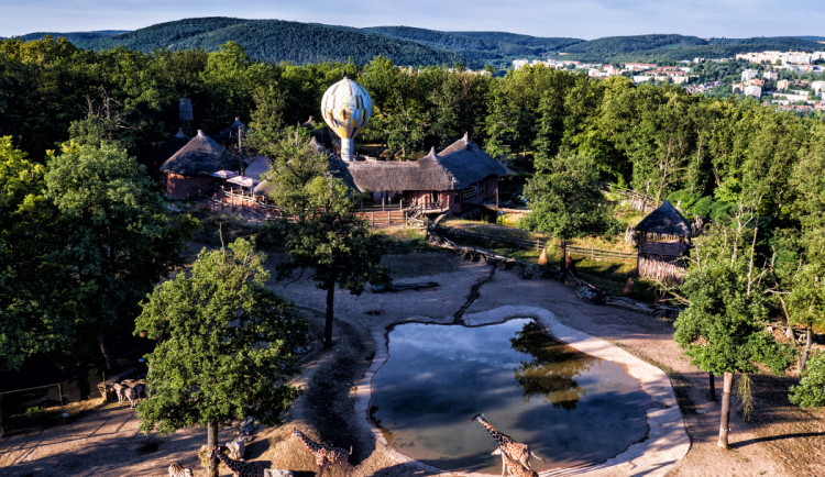 Přijďte na akci Ať je klima v Brně prima aneb dny životního prostředí do brněnské ZOO