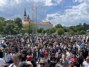 V centru Brna demonstrují desítky Romů. Žádají trest pro útočníka z Ukrajiny