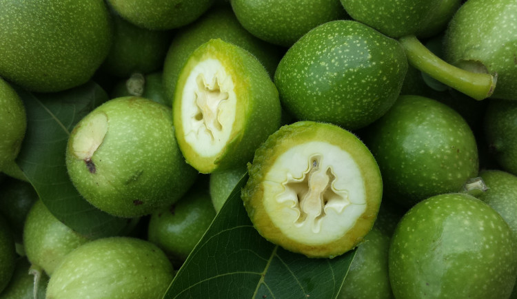 Svatojánské ořechy ovládly Brno