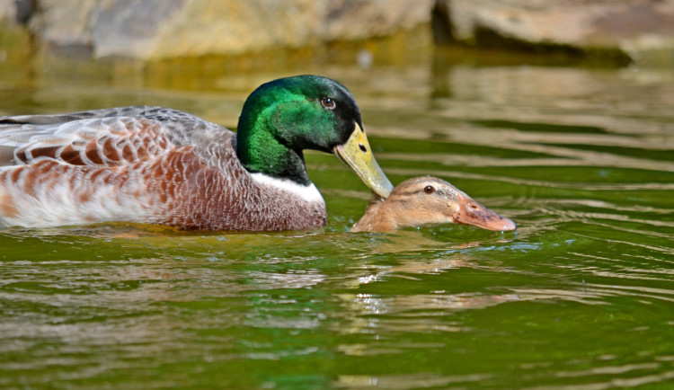 356055210_299311482452187_6944936320213775476_n