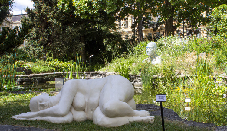 Brněnskou botanickou zahradu zaplnily sochy vytvořené studenty