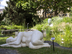 Brněnskou botanickou zahradu zaplnily sochy vytvořené studenty
