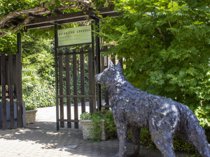 Umění ve spojení s přírodou. Botanickou zahradu oživila výstava soch