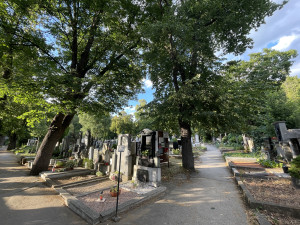Brno dá do pucu městské hřbitovy. Vznikne i zeď proti divokým prasatům