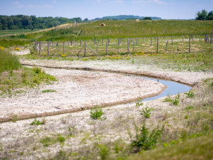 V řekách na jižní Moravě chybí voda. Šetřete, zdůrazňují vodohospodáři