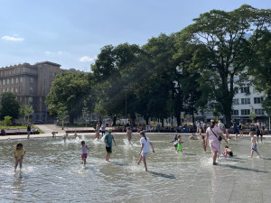 Brňané se vedrech rochní v kašnách. Z vodních děl jsou plovárny
