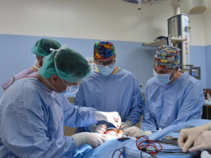 Brněnští lékaři nahrazují kostí z kolena čelist. Zákrok okoukali v Rakousku