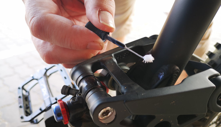 Kola chrání značen ze syntetické DNA.