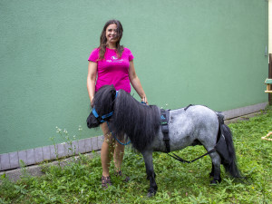 Koník Čenda dělá radost v domově pro seniory, má terapeutické účinky