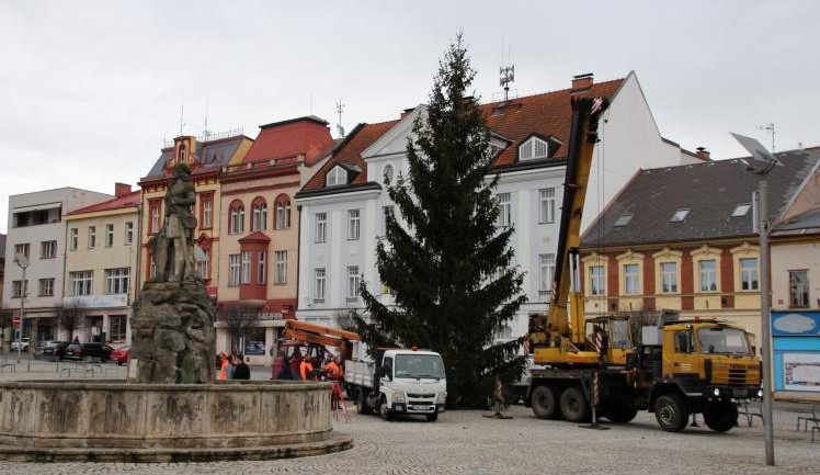 Dvůr Králové už shání vánoční strom na náměstí T.G.Masaryka