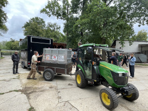 Aufwiedersehen Charloto. Hodonín poslal do světa oblíbenou bílou tygřici