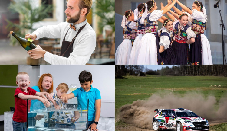 Kam o víkendu na jihu Moravy? Do VIDA parku nebo na Biskupský dvůr