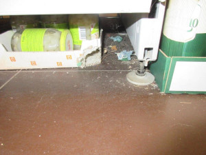 Brněnský Cejl přišel o oblíbenou prodejnu. Byly tam myší výkaly, mrtvá havěť a špína