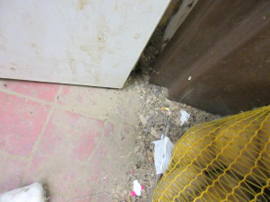 Brněnský Cejl přišel o oblíbenou prodejnu. Byly tam myší výkaly, mrtvá havěť a špína