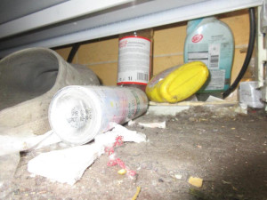 Brněnský Cejl přišel o oblíbenou prodejnu. Byly tam myší výkaly, mrtvá havěť a špína