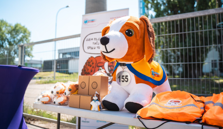 Pejsek Defibrilátor, zkráceně Defík pomáhá na jihu Moravy uklidnit zraněné děti.