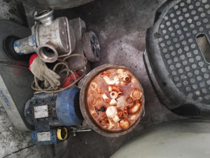 Jihomoravské vinařství má ostudu. Víno vyrábělo ve špíně a plesnivém sklepě