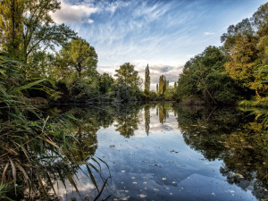 Botanici v Brně zkoumají jezera. U vody objevili vzácné rostliny i živočichy