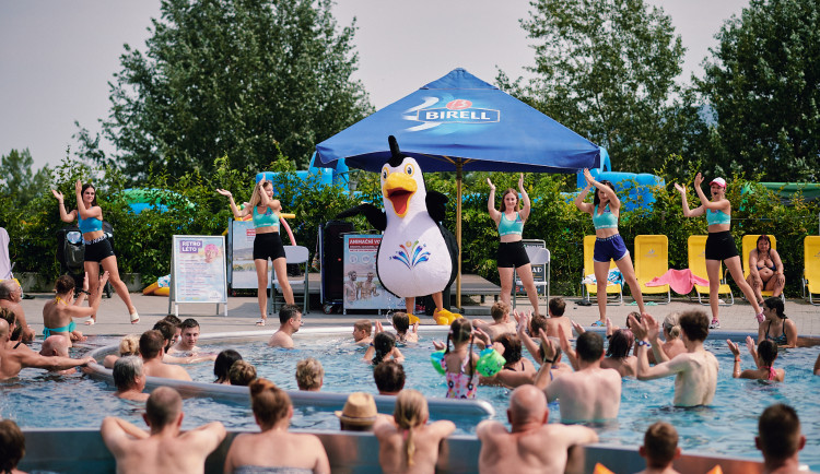 Aqualand Moravia vpustil mezi tobogány zvíře. Tučňák s rukávky se jmenuje Eda