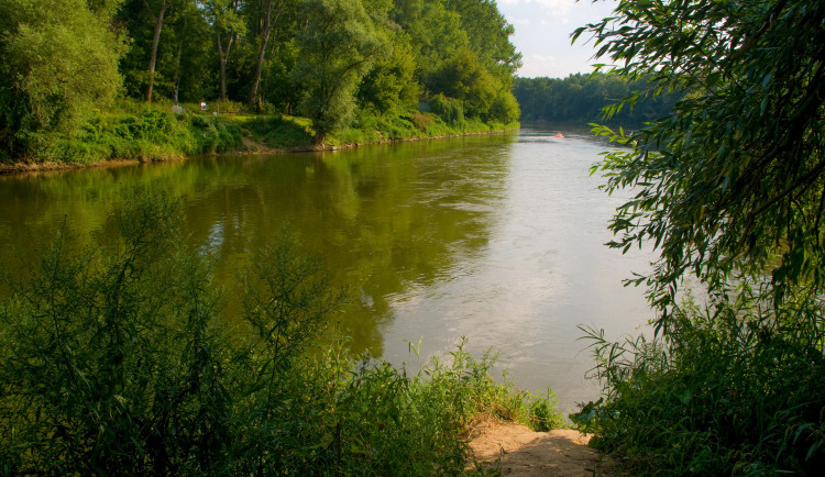 Soutok Moravy (vlevo) a Dyje (vpravo)