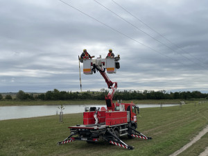 Energetici s ochranáři instalují na dráty vysokého napětí speciální prvky, aby neumírali ptáci