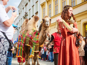 Jan Lucemburský navštíví s družinou Znojmo, město ožije historickým vinobraním