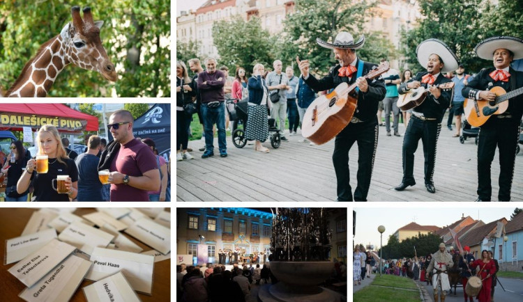 Kam poslední prázdninový víkend na jihu Moravy? Do brněnské zoo nebo na festival židovské kultury