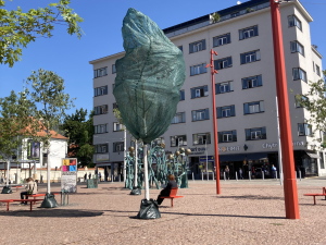 Nové stromy na brněnském Mendlově náměstí usychají. Pomoci mají ochranné sítě