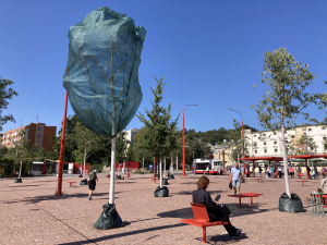 Nové stromy na brněnském Mendlově náměstí usychají. Pomoci mají ochranné sítě