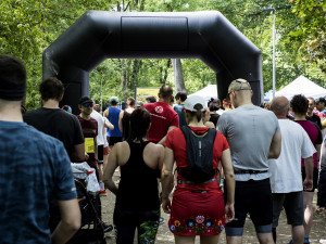  Komu se nelení, tomu se zelení. Město Brno opět spouští dotace