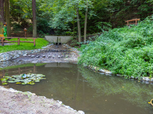 Adamov si splnil sen. Na území skládky postavili pohádkový lesopark