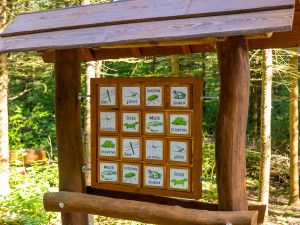 Adamov si splnil sen. Na území skládky postavili pohádkový lesopark