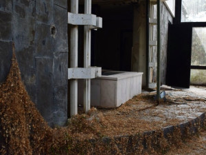 Zchátralá smuteční síň v Brně má vyhráno. Dílo známého architekta podstupuje rekonstrukci