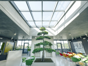 Rakovina prsu si nevybírá. Znáte všechny dostupné možnosti její léčby?