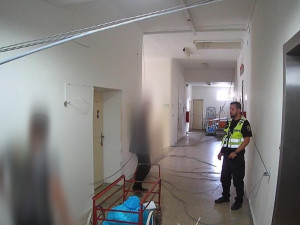 Muž v brněnské nemocnici se bál o lékaře a vyrval ze zdi kabely. Asi jsem si šlehl, vysvětlil