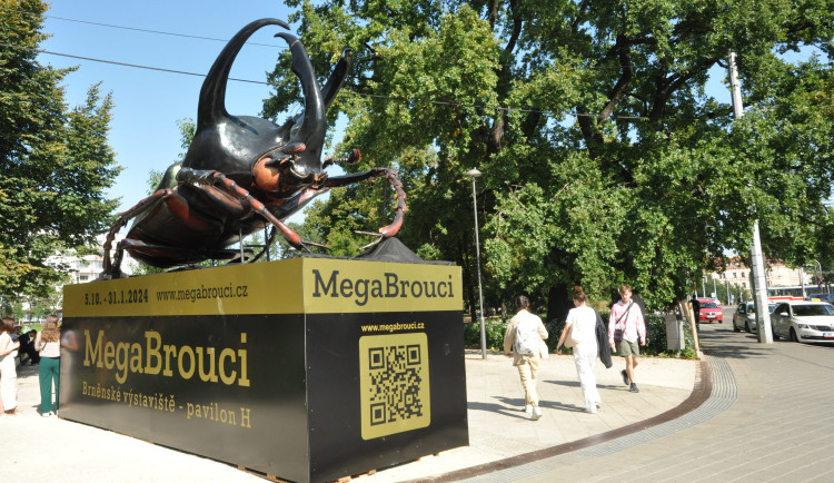 Na Moravské náměstí v Brně přistál obří brouk. Láká na výstavu hmyzích soch