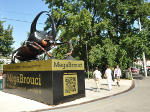 Na Moravské náměstí v Brně přistál obří brouk. Láká na výstavu hmyzích soch