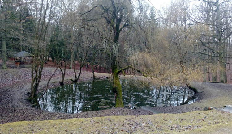 Brno vyčistí zanedbaná jezírka v oblíbené oboře. Úprava pomůže i zvířátům