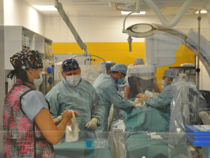 Lékaři v Brně pomáhají lidem se srdeční vadou. Novou chlopeň vymění za tři čtvrtě hodiny