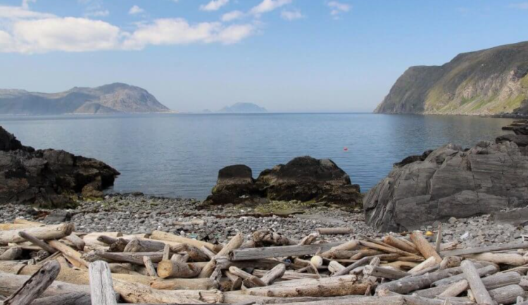 Vědci z Brna vyrazili do Norska, aby na plážích prozkoumali naplavené dřevo