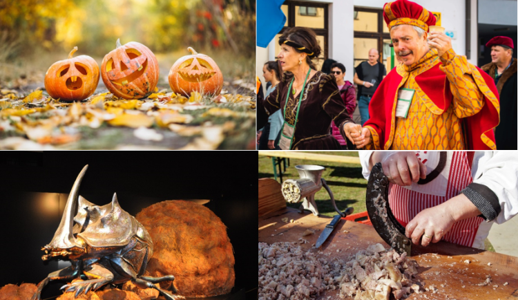 Kam o víkendu na jihu Moravy?